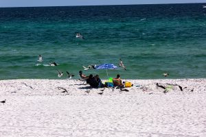 Why panama city Beach is a better destination than Destin Fl.