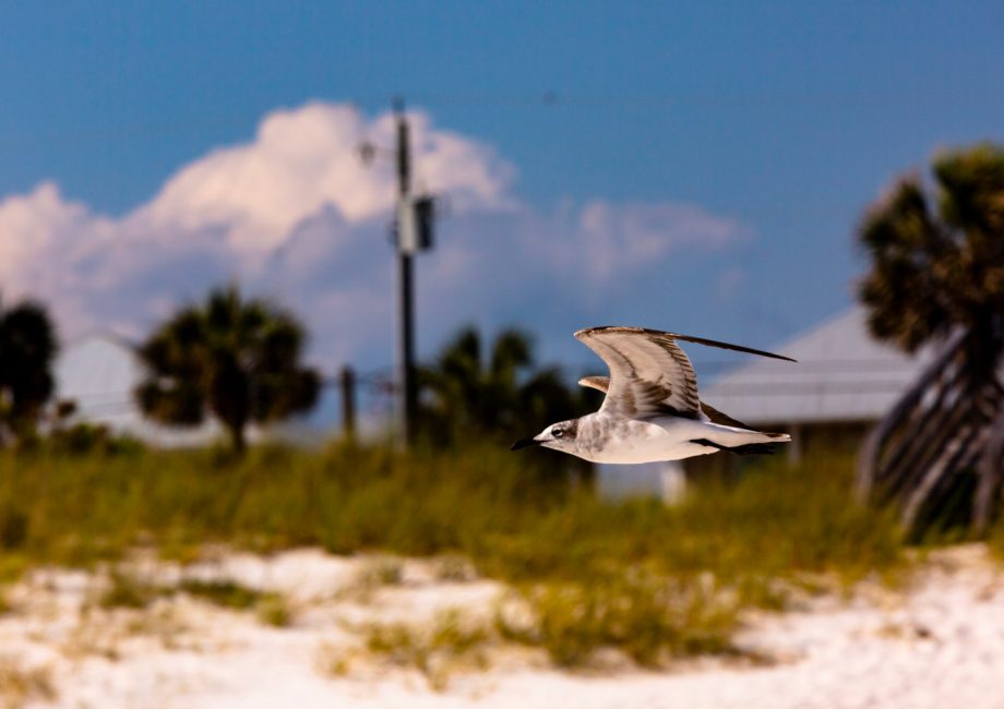 Panama City Beach