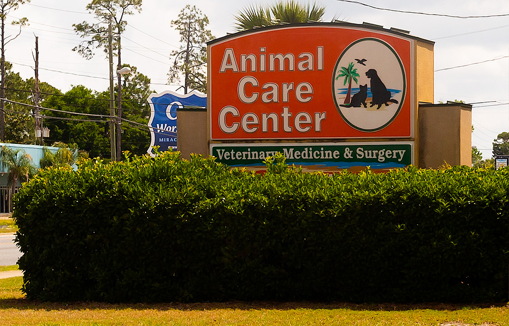 animal care center
