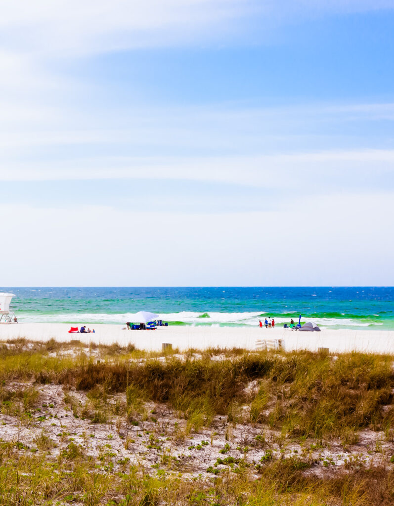 panama city beach snowbirds